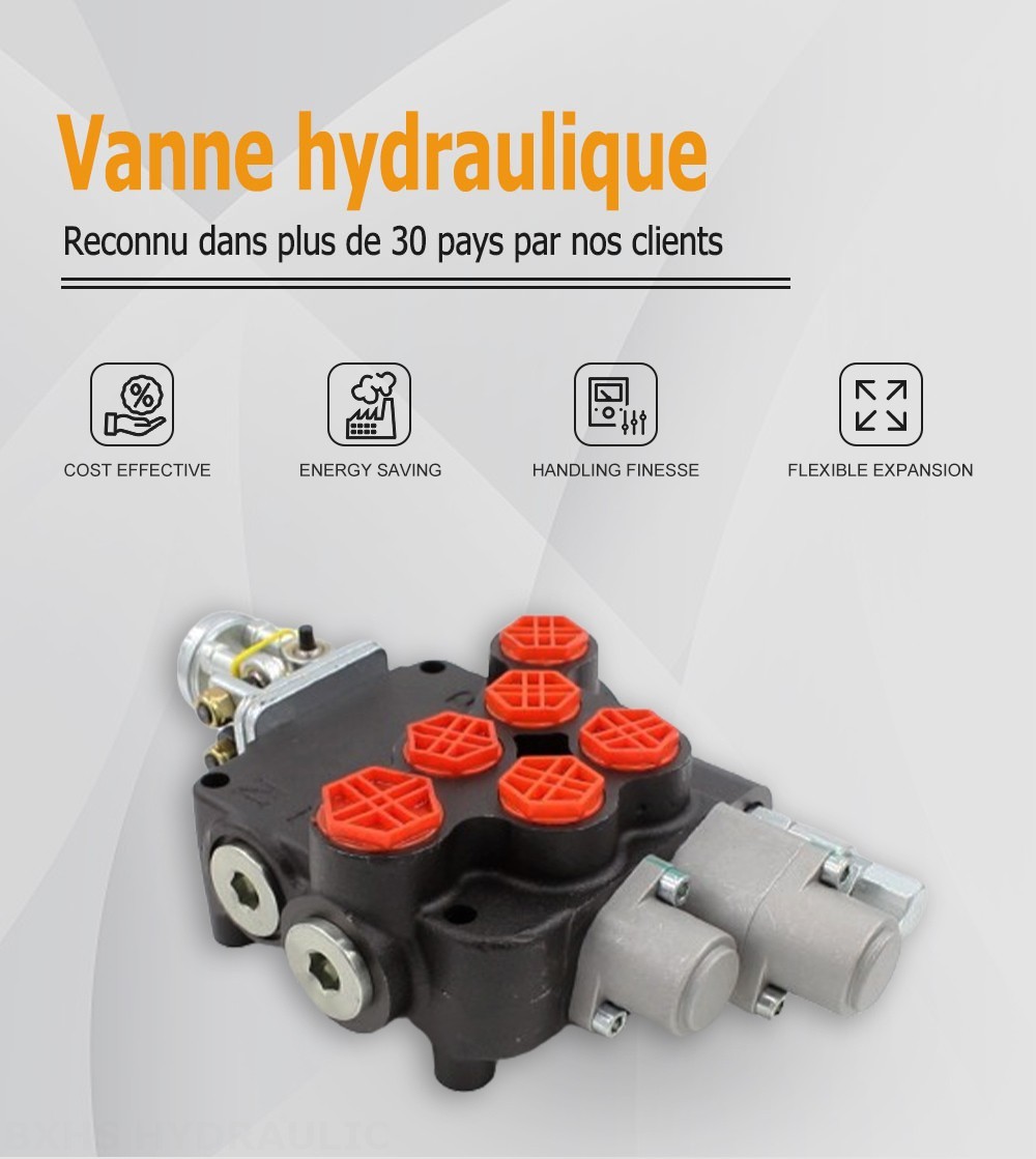 P80-G12-G34 Manuel et manette 2 distributeurs Distributeur directionnel monobloc